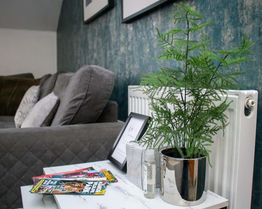 Luxe Living Guest House-Sleeps 6-Private Parking-Free Wifi-Beach-City Суонси Экстерьер фото